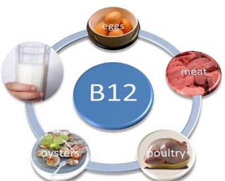 Bổ Sung Các Loại Thực Phẩm Chứa Nhiều Vitamin B12